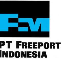 Freeport Indonesia Profile