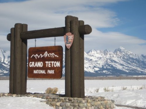 allenvance's profile picture. 