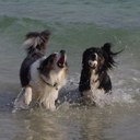 Emma Horne - @MarchWolf - Twitter