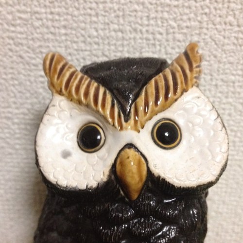 ふらふらしたり、お酒飲んだり、滑ったりしてます。