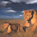 Manie Reyneke (@13LIONKING) Twitter