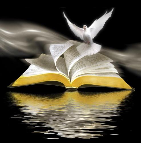 winnerad11's profile picture. 