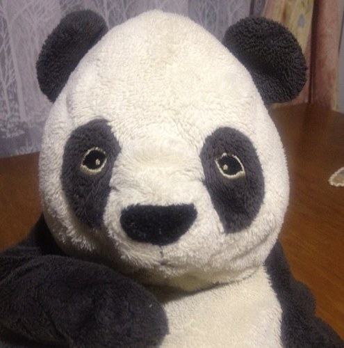 ドンヒョンペンです！BOYFRIENDから始まる2PMへの道…べぷです*☻よろしくです( ^^)/동현ぺんです♡ テクペン♡♡♡♡♡真由子抜けました!!! そしてヨボセヨからLO∧Eになってしまうという節操のなさ;^_^A YOKOHAMA