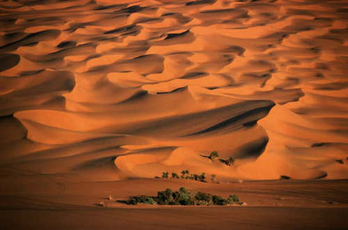 ‏‏ومن يقضي الساعات في جمع ماله     مخافة فقرٍ فالذي صنع الفقر