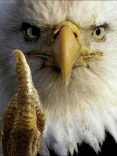 Nimblegriz's profile picture. 