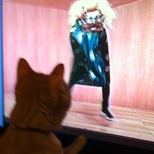 motoreka's profile picture. 