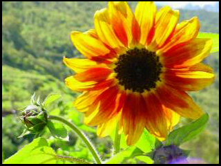 CDARLY's profile picture. 