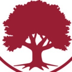 BranchOutRider's profile picture. 