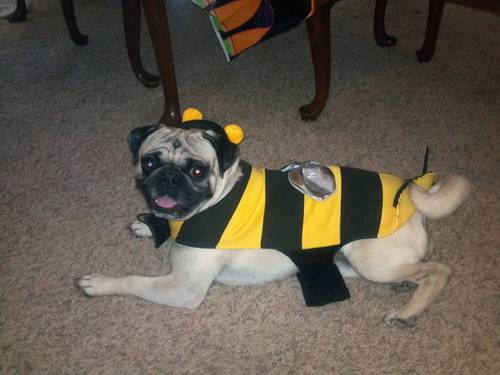 sdemos04's profile picture. 