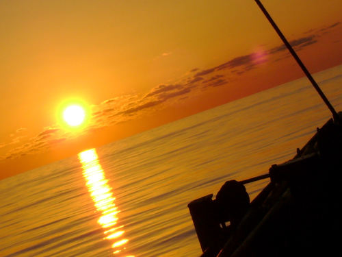 asi_efsane_27's profile picture. Biz doğduğumuzda kundağa değil kefene sarılanlardanız..........