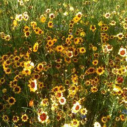 barbaramf215's profile picture. 