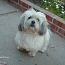 Tina Case - @2bsweetytweety - Twitter