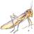 leLocuste's profile image