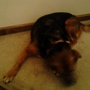 sandy rowan - @sandy_rowan - Twitter