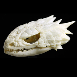 mdaw's profile picture. Creative