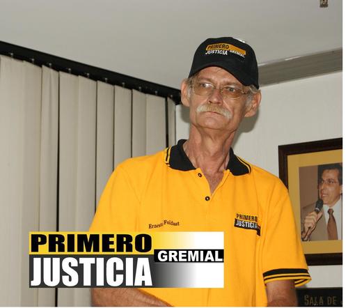 Primero Justicia Gremial, Productor, Analista de Sistemas.