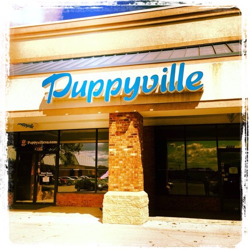 We are the premier puppy boutique in Virginia!