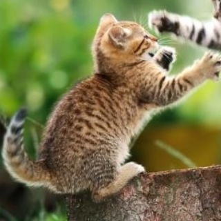 NicoLayit's profile picture. Dont go worrying your crucial little head of, let This Pretty girl get her shine on. 

In love with Couture!