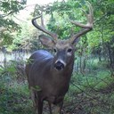 Rusty Campbell - @Rusty_1961 - Twitter