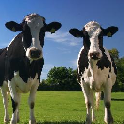 ruraladvicesw's profile picture. We deliver business #advice free to #farmers and #rural businesses in the #SouthWest. We can help you access #RDPE funds, call 08456 047 047 for details.