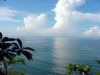 RIESTERFndation's profile picture. 