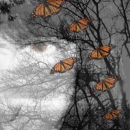 rensnswmn's profile picture. 