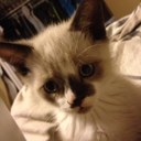 Paul - @PaulStKitty - Twitter