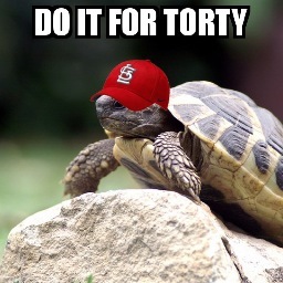 I'm St. Louis Cardinal Allen Craig's pet tortoise.