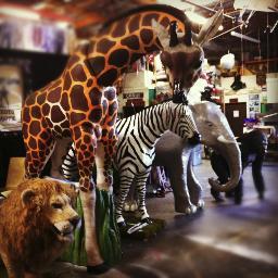 Bob Gail has the largest inventory of quality themed props, set pieces, lounge furniture, illuminated furniture, florals, fabric & party rentals in LA & Vegas