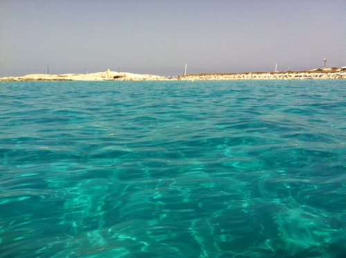 anacardonamonjo's profile picture. medico oftalmologo,