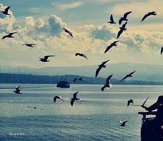 ‏‏‏‏‏‏‏‏حساب يذكر بالله شوقا للجنة،رسائل دينيه منوعه بين نصح وتذكير ،
 بين قرآن واحاديث رسول الله ،
لتعلو الهمم،فنعتلي بالعمل،حسابنا بالانستجرام @sunnah1434