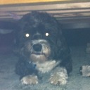 Ali Duval - @Flyingorcalion - Twitter