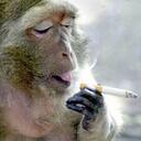 Brian Rost - @BleatingHonky - Twitter