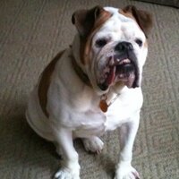 Randall Lancaster (@msudawgs12) 's Twitter Profile