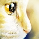 Sara (@021196637859) Twitter