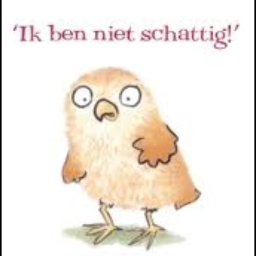 liswaaag's profile picture. Heeft swek xxxx jwz | oud erasmus | blond , denkbeeldig dan!! Sorry iedereen maar ik heb iets met SWAG komt misschien gewoon omdat ik het zelf heb qq