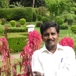 DrMRaja's profile picture. 