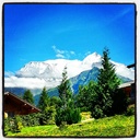 Tim Holt - @TimHolt7 - Twitter