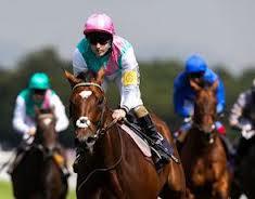 thegreat_tipoff's profile picture. Football, Racing & Sports enthusiast sharing great tips.