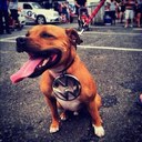 Frank Pedersen - @frankpedersen81 - Twitter