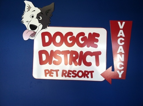 DoggieDistrictA's profile picture. Doggie district is a premier pet resort offering all day indoor/outdoor play. We offer daycare overnight lodging , grooming pet taxi , retail