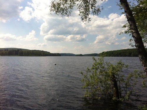 JeremyDuch's profile picture. 