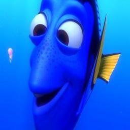 alice_catarina1's profile picture. segue de volta?