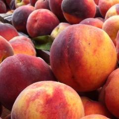 TravelSugga's profile picture. 