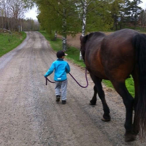 marsod70's profile picture. Egenföretagare: BergshamraMacken AB - Lagboda Gård - Sambo o 2 barn