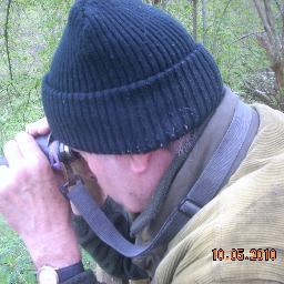 retired but still birdin ,local patch birder.smestow valley  & the Midlands at weekends. Enjoyed my twitching days but there no more.