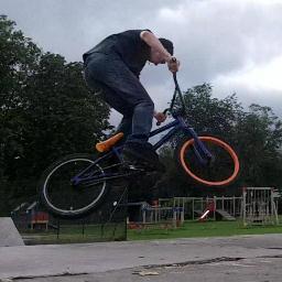 tomfish52733316's profile picture. 