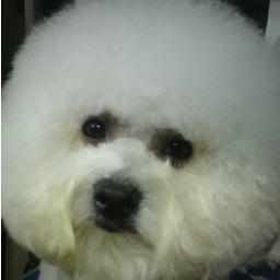 Louisiannagroom's profile picture. 