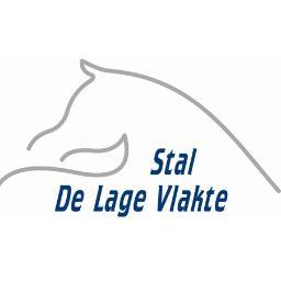 Professionele kleinschalige hengstenopfok | Familie Visscher | onderscheidend | https://t.co/gXWFPIR7v9…