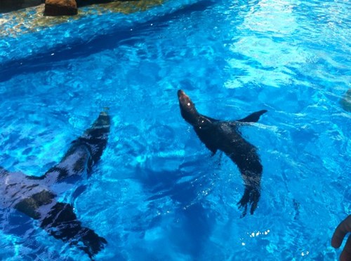 EternityTutors's profile picture. 